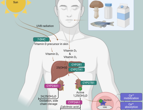 VDR is the superstar, what about vitamin D metabolism genes polymorphisms?